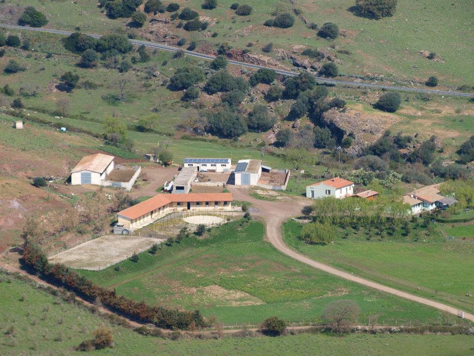 Agriturismo Cugumia Thiesi Exterior foto